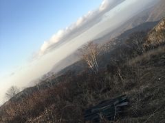 -凤凰山国家森林公园