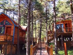 -洛阳白云山景区