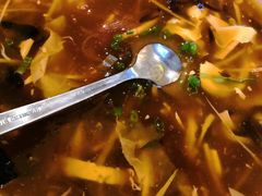 鸡丝酸辣汤-眉州东坡(中日友好医院店)