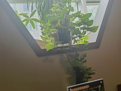 -沐春秋茶书院·茶室.茶馆.商务包房(知春路店)