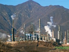 -白水寺森林公园