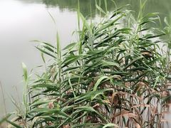 -宁波九龙湖开元度假村