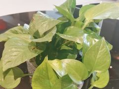 -丽景华侨酒店-渔味小厨