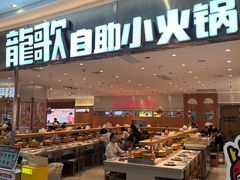 -龍歌自助小火锅(崂山丽达店)