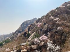 -北京凤凰岭