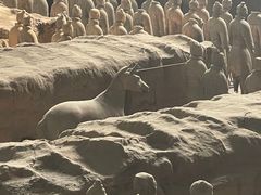 -秦始皇帝陵博物院(兵马俑)