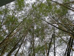 -荔香公园