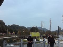 -千年银杏谷文化旅游区