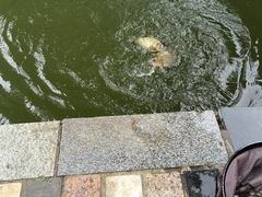 -酷鱼垂钓CLUB(朝阳区博大路店 )