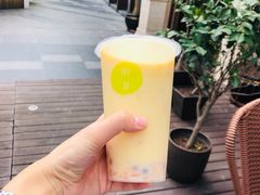-树夏(金楠天街店)