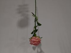 -成都失恋馆