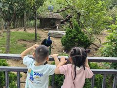 -西霞口神雕山野生动物世界