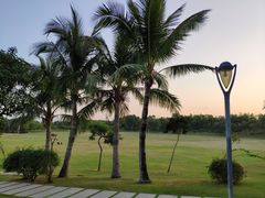 -深圳湾公园(南山区)