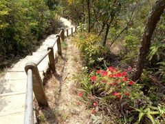 -狮子山郊野公园