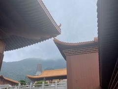 -深圳仙湖植物园