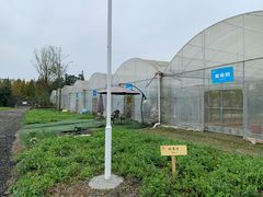 -洪湖家庭农场·团建·露营·会议
