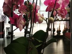 -LANN I 蘭 泰式古法按摩(徐家汇城开YOYO店)