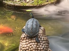 -野蔓果·山野菜(西湖景区·龙井茶田店)