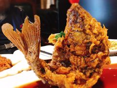 糖醋鲤鱼-城南往事·鲁菜济南菜(软件园美莲广场店)