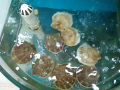 -聚德福海鲜家常菜(刘庄店)