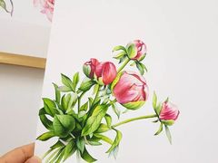 -八哥美术·成人美术画室(总校区)