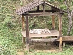 -石家庄市动物园