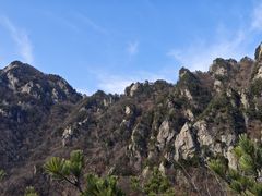 -王顺山国家森林公园