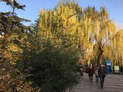 -西安市长乐公园