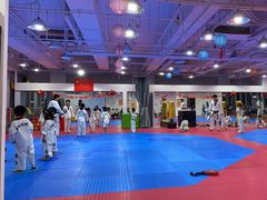 -陈中跆拳道(中关村馆)