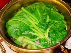 生烫鸡毛菜-卢大鲜鱼头捞饭(美利广场店)