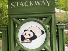 -轩客会(熊猫书店)