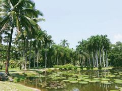 -中国科学院西双版纳热带植物园