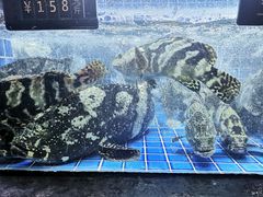 -徐记海鲜(观沙岭|滨江新城店)