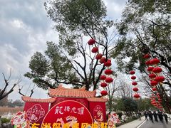 -东湖听涛景区