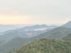 -杭州半山国家森林公园