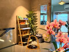 -施奈儿.洗头頭療.按摩SPA.采耳(上梅林店)