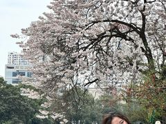 -红星桥(地铁站)
