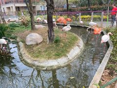 -灵玲国际马戏城