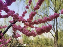 -元大都城垣遗址公园