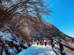 -少华山国家森林公园