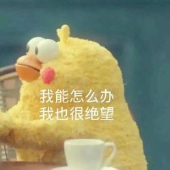点击看大图 -ARC弧线沙龙