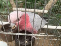 -南宫五洲植物乐园