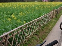 -贵阳市花溪国家城市湿地公园