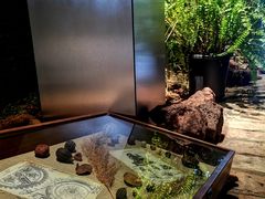 -一尺花园(首钢店)