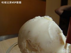 DSC07964-哈根达斯(西安高新店)