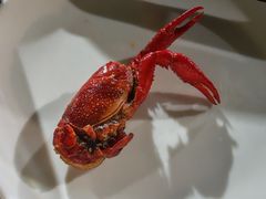 -二钳洞庭虾蟹·江湖菜(成都鹭岛店)