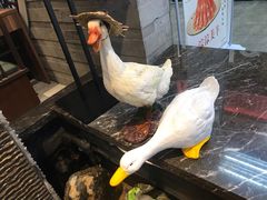 -前门后头老北京铜锅涮肉·京味菜·烤鸭(伊藤洋华堂店)