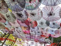 景点-玉石林风景区