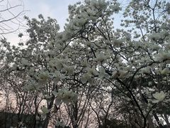 -皇城根遗址公园-东安门遗址