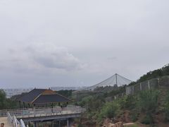 -大青山野生动物园